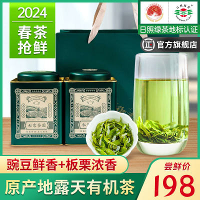 日照绿茶2024年新茶春茶一斤板粟浓香散装自己喝礼盒装官方旗舰店