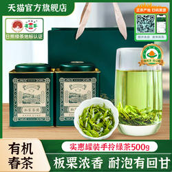 日照绿茶2025新茶春茶一斤板粟浓香散装山东特产礼盒装官方旗舰店