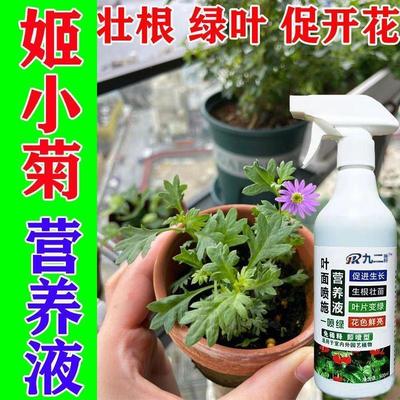 有机肥料花卉通用姬小菊营养液绿植液体肥花卉专用肥料水培植物阳