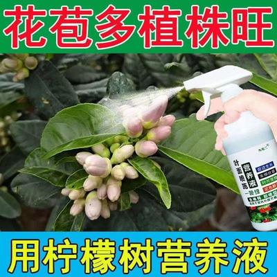 植物肥料柠檬树肥料专用肥有机营养液果树苗青柠檬养肥料盆栽通用