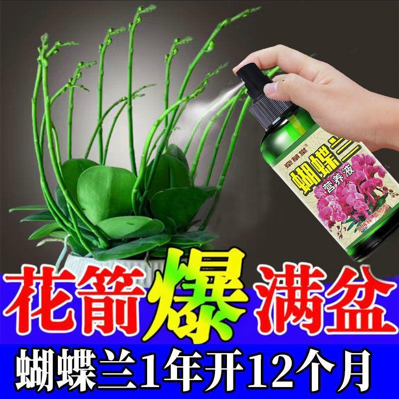 花卉绿植通用肥料蝴蝶兰营养液快速促花剑开花防黄叶烂根黑斑病叶