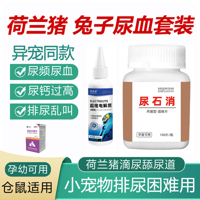 荷兰猪尿血小宠豚鼠利尿通