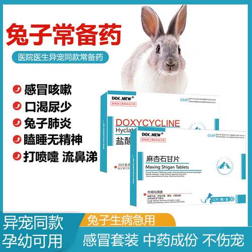 兔子常备药感冒咳嗽腹泻