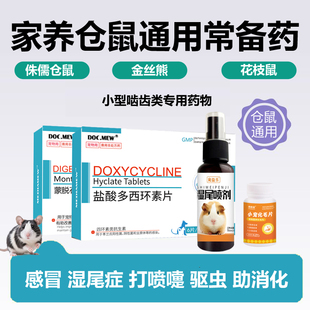 仓鼠感冒专用药拉稀腹泻湿尾症仓鼠常备药体内外驱虫皮肤病结膜炎