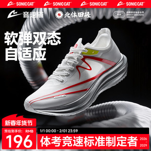 【北体共研】音速猫逆天3.5三周年碳板跑步鞋体考测竞速运动训练