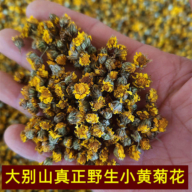 野生小黄菊花大别山纯天然中药材泡茶菊花野菊米当季新品店主采摘