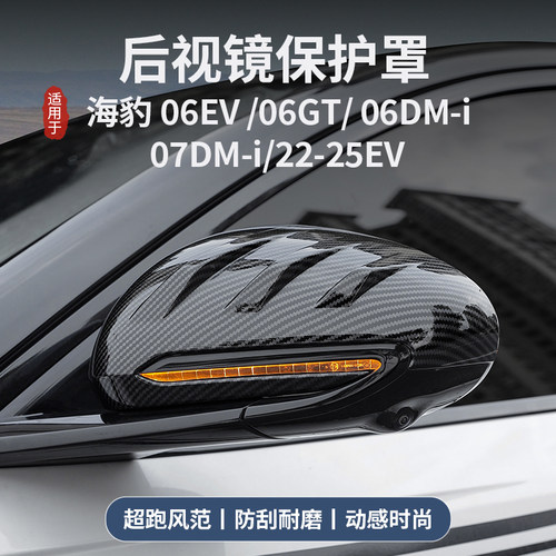 海豹06dmi后视镜壳防刮耐磨