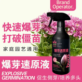 爆芽素原液多肉催芽分化活力素盆栽植物三角梅月季 通用生根营养液