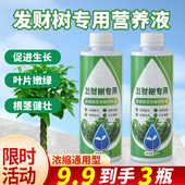 发财树肥料专用肥绿植物家用室内盆栽水培黄枯叶通用营养液水溶肥