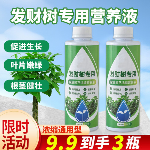 【绿叶状根】发财树专用营养液肥
