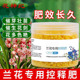 兰花专用肥料君子兰控释肥墨兰蝴蝶兰上剑爆花缓释兰科植物多箭素