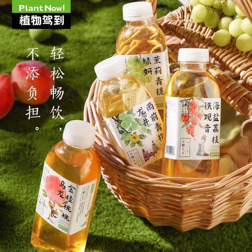 植物驾到果味果汁茶饮料500nk*15