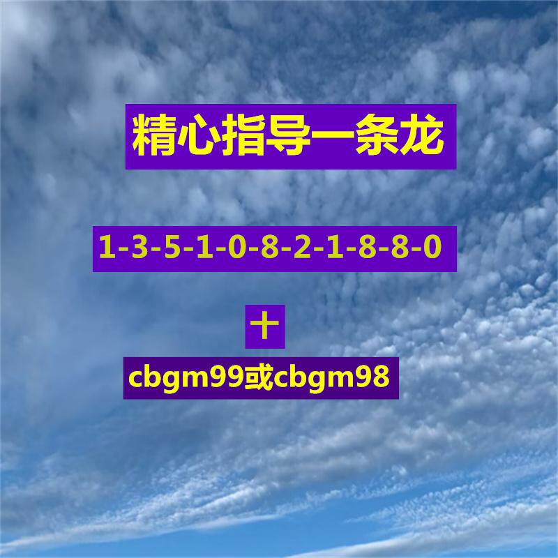 精心指导一条龙百晓翁