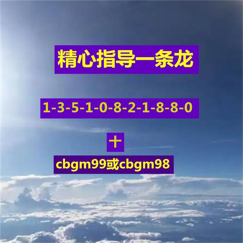 精心指导一条龙百晓翁