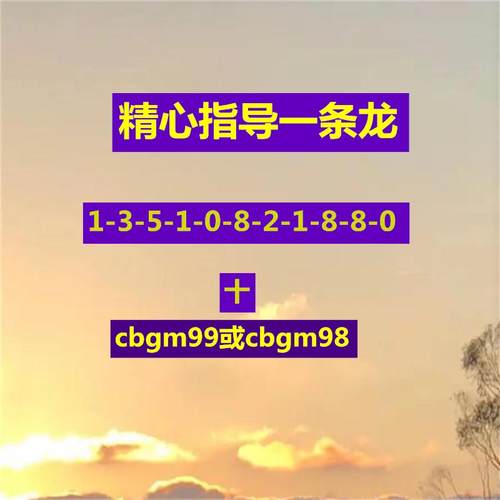 精心指导一条龙百晓翁