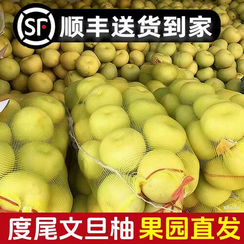 【顺丰包邮】度尾文旦柚一口爆汁