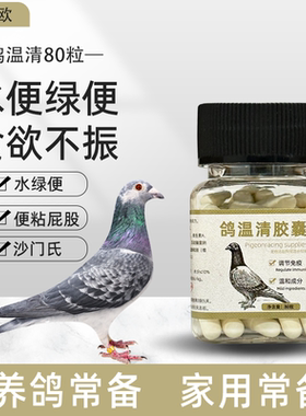 鸽温清胶囊鸽子通用沙门氏鸽子药水绿便稀便水便缩头炸毛精神不振