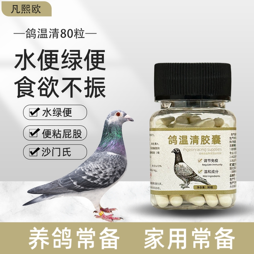 鸽温清胶囊鸽子通用沙门氏鸽子药水绿便稀便水便缩头炸毛精神不振