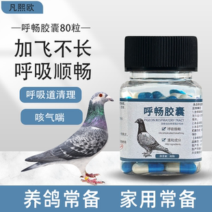 鸽子呼吸道专用信鸽赛鸽咳化痰鸽子药专用呼吸道鸽药大全