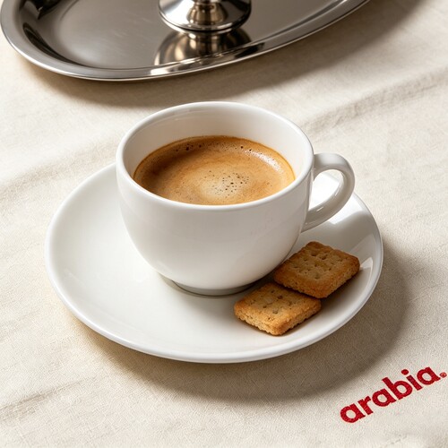 芬兰arabia北欧进口24h小时咖啡杯高档精致陶瓷杯碟小众高级杯子