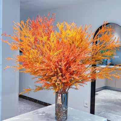 神仙切枝氛围感满满千层金鲜花黄金香柳云南直发插花水养花期长