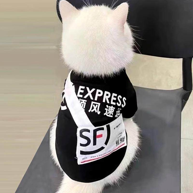 猫咪秋季衣服快递外卖背包薄款蓝猫布偶银渐层幼猫宠物狗狗搞笑装