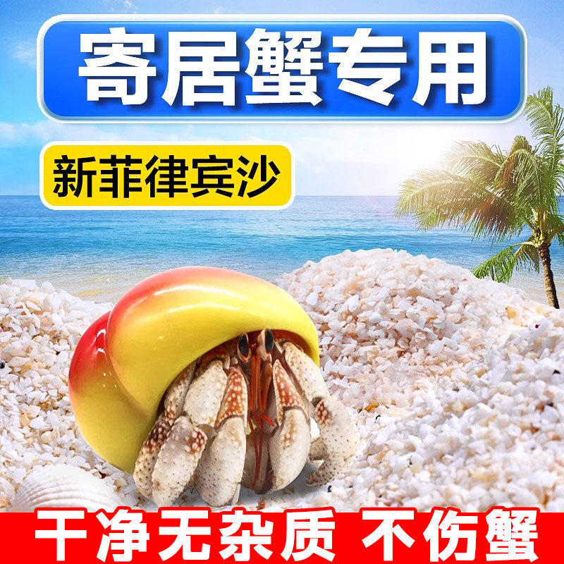 寄居蟹专用沙天然垫材珊瑚沙菲律宾沙造景原生贝壳砂三湖慈雕底砂