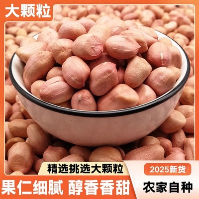 2025新花生米农家仁大颗白沙原味商用新鲜新货干货家用农产大颗粒