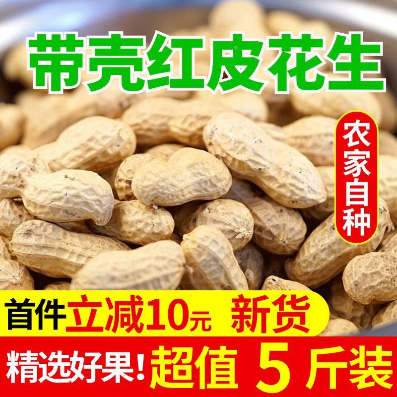 2024年带壳生花生新鲜5斤大枚新鲜晒干薄壳原味粉红皮花生米整箱