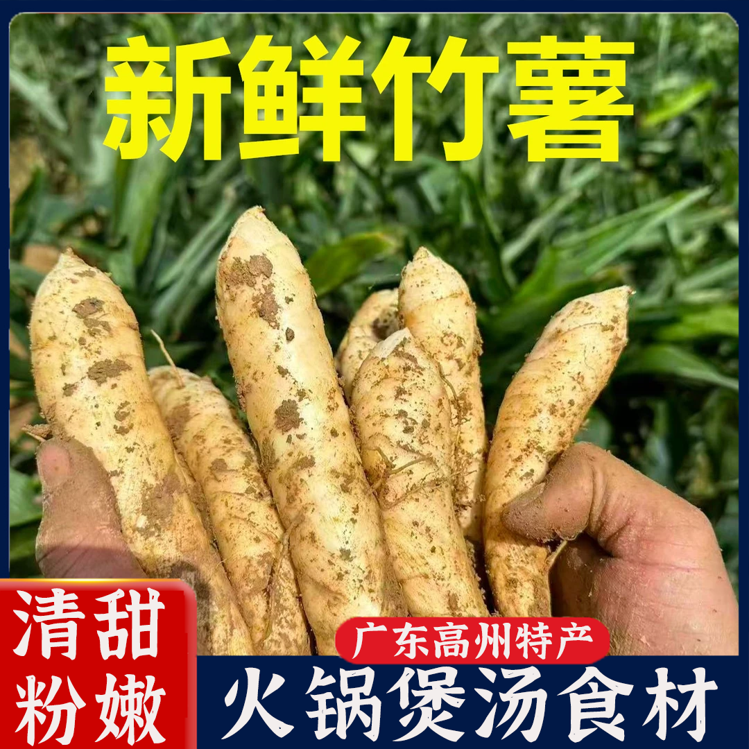 竹薯新鲜自种现挖竹竽薯冬粉薯凉粉薯火锅煲汤食材根茎薯正宗高州,水产肉类/新鲜蔬果/熟食,番薯,淘宝优惠券,粉丝福利购,淘宝优惠卷