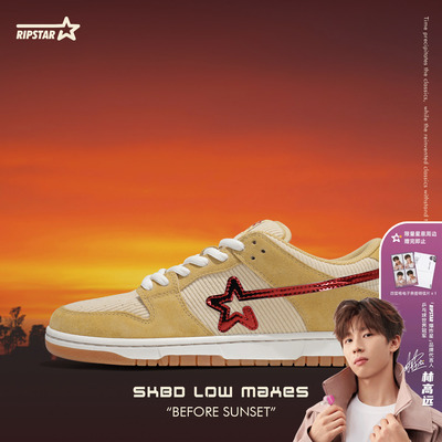 RIPSTAR休闲板鞋秋冬新款