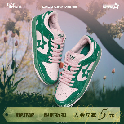 RIPSTAR/爆炸星春秋透气低帮板鞋