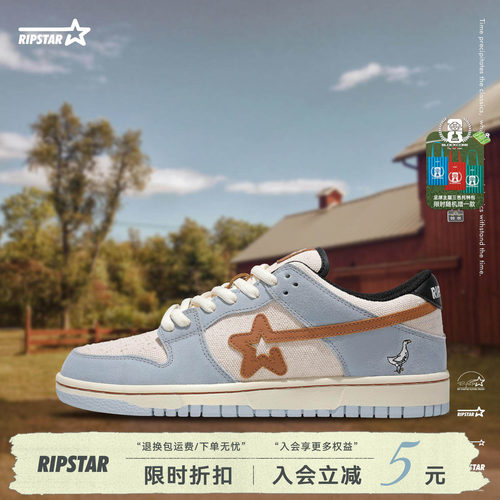 RIPSTAR蓝色休闲板鞋男女款