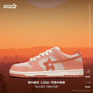 【所有女生的衣橱直播间】RIPSTAR SKBD Low 多色复古低帮板鞋