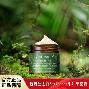 新西兰Antipodes安媞珀鳄梨果油修护晚霜牛油果面霜60ml 2028.12