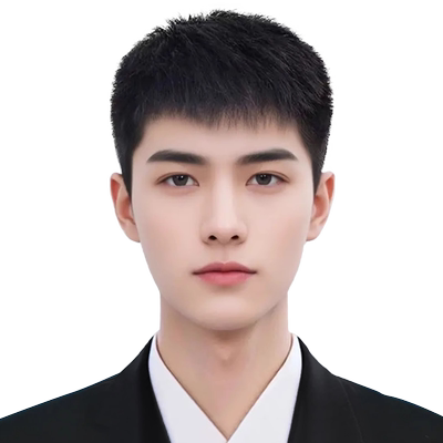 舒优美真发丝逼真自然假发全头套
