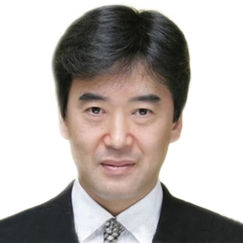 舒优美真人发丝逼真自然假发套