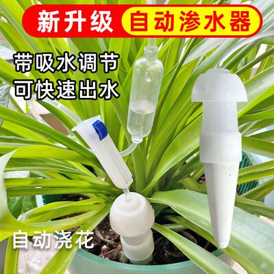 新款家庭花园盆栽养花植物