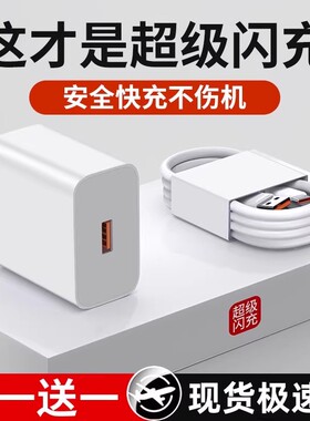【威乎】66超级快充头120闪充mate50/40pro/p50p40p30Nova手机插头typec正充电器数据线品原闪充套装22.5W