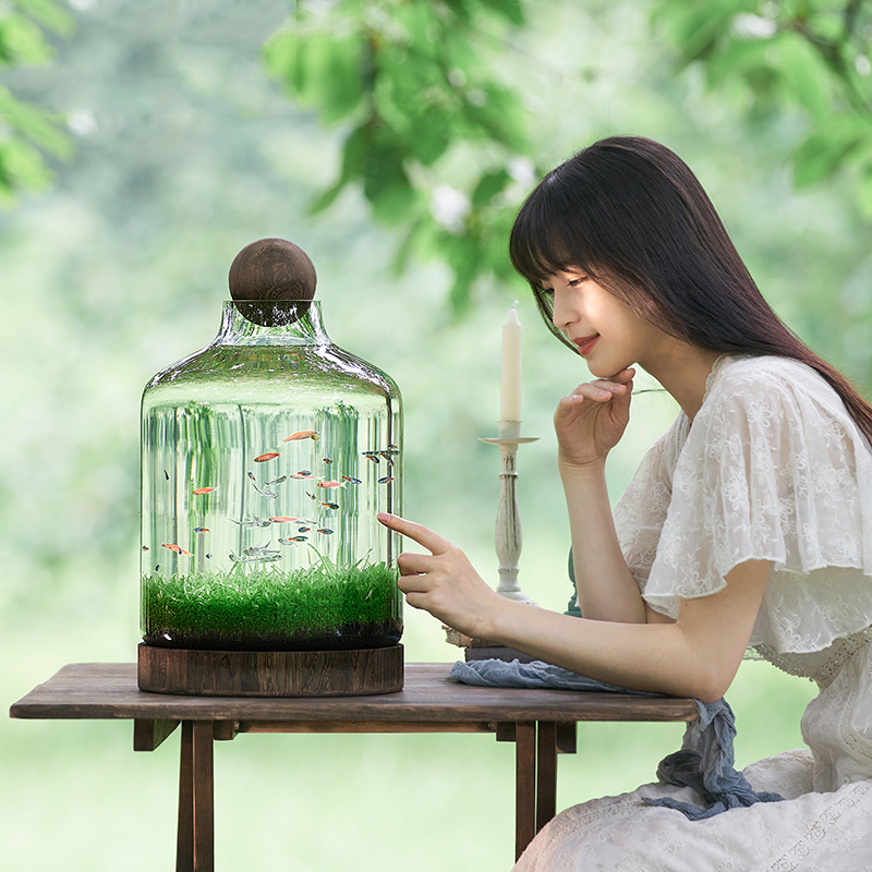 生态鱼瓶水草缸微景观鱼虾水草自循环办公室迷你植物免换水免打理