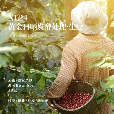 NL24酒桶发酵云南波旁咖啡生豆