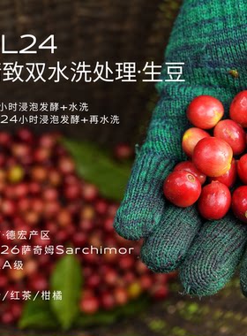 NL24云南德宏咖啡庄园精致双水洗AAA萨奇姆Sarchimor当季精品生豆
