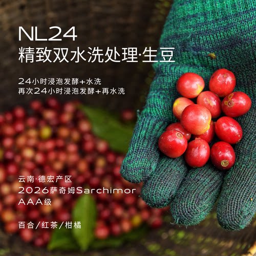 NL24云南德宏咖啡庄园精致双水洗AAA萨奇姆Sarchimor当季精品生豆