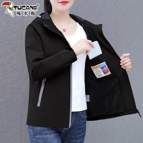 啄木鸟冲锋衣女款2025新款春秋款