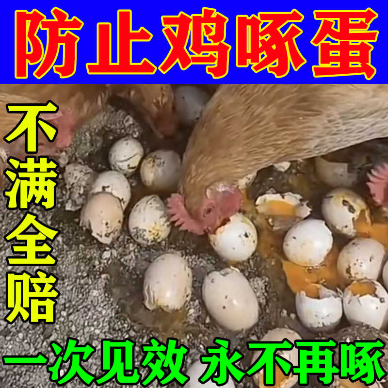 专治鸡啄蛋防鸡啄蛋专用饲料