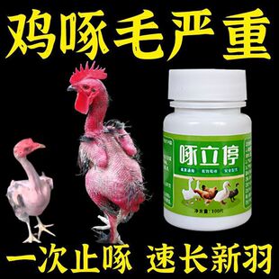 【正品】啄立停防鸡啄蛋禽用啄毛药止啄家鸡营养不良补钙促长蛋鸡