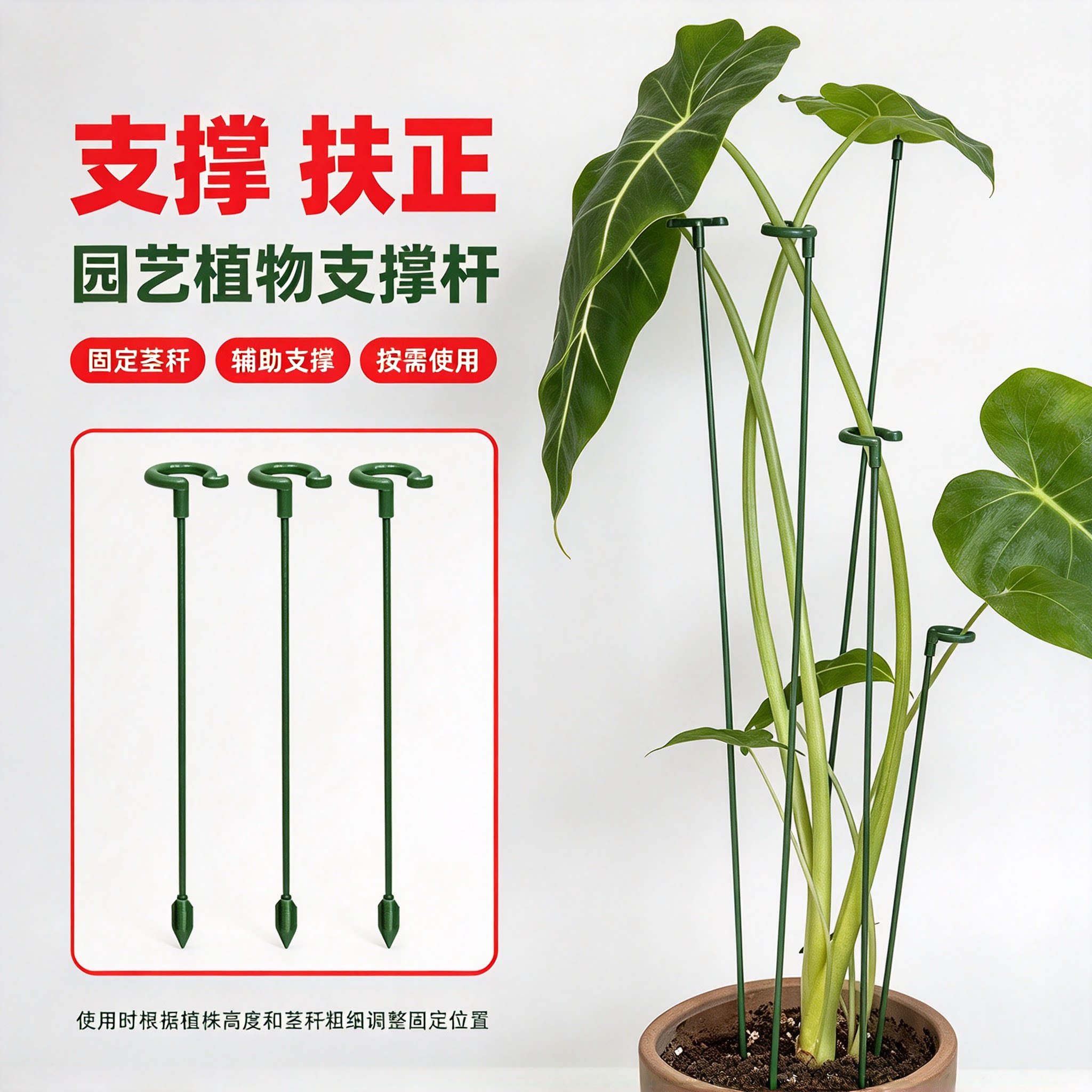 植物支撑杆花支架蝴蝶兰天堂鸟盆栽龟背竹支撑架海芋固定防倒伏