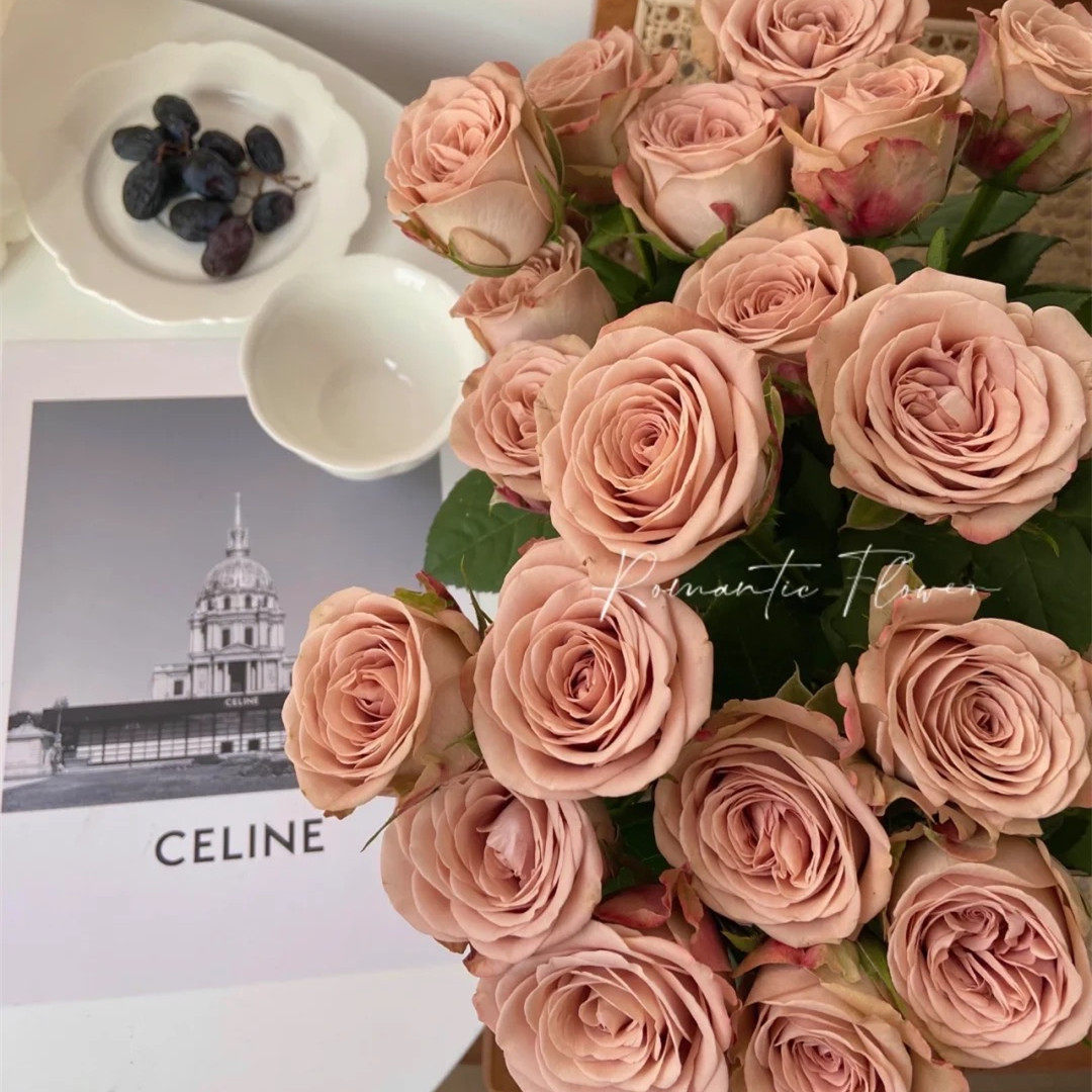 【小红书爆款】卡布奇诺玫瑰花