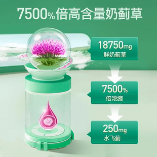 Herbsense贺柏圣奶蓟草肝片水飞蓟宾蓟类熬夜应酬喝酒养肝男女