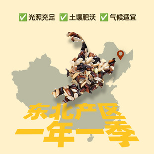 鹤来香五色糙米500克杂粮米五谷杂粮粥粗粮黑米红米荞麦oem